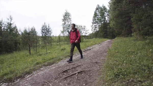 Vandrare man bär vandringsryggsäck och röd jacka när du går i sommarskogen. Lagerbilder. Unge man följer stigen utomhus längs skogen. — Stockfoto