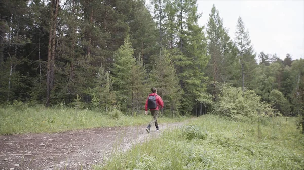 Wanderer mit Wanderrucksack und roter Jacke beim Spaziergang im Sommerwald. Archivmaterial. Junger Mann folgt dem Weg in den Wald. — Stockfoto