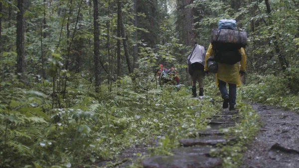 Bakifrån av gruppen av människor med ryggsäckar vandring tillsammans och klättring i skogen. Lagerbilder. Äventyr, resor, turism, vandringskoncept, vänner som vandrar genom skogen. — Stockfoto