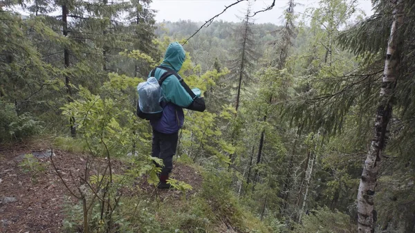 Escursionista di sesso maschile con zaino da viaggio in piedi sul bordo dell'alta montagna durante il trekking estivo. Filmati delle scorte. Coltivatore maschio in piedi sulla collina e guardando le cime degli alberi . — Foto Stock