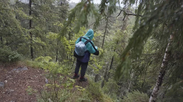 Manlig vandrare med resa ryggsäck står på kanten av högt berg under sommaren vandring. Lagerbilder. Man explower står på kullen nd tittar på trädtopparna. — Stockfoto