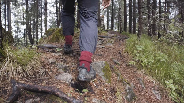 Rer pohled na mužského turistu na lesní cestě. Záběry ze skladu. Zblízka muž cestovatel boty zkoumání přírody a procházky lesem, trekking skalnatá cesta mezi zelenými borovicemi. — Stock fotografie