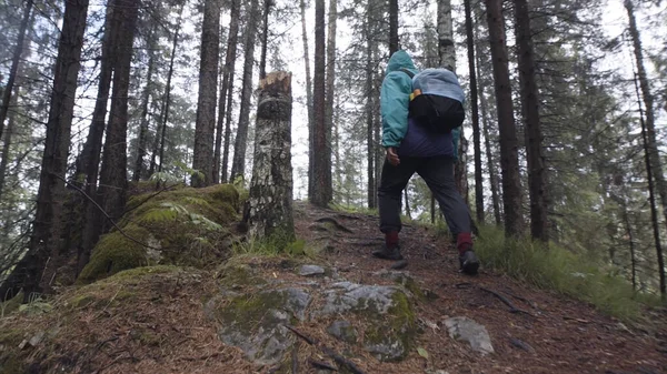 Rückansicht eines Touristen mit Rucksack, der einen steinigen Pfad in einem Bergwald erklimmt, Abenteuer- und Wanderkonzept. Archivmaterial. Mann klettert im Wald einen Berg hinauf. — Stockfoto