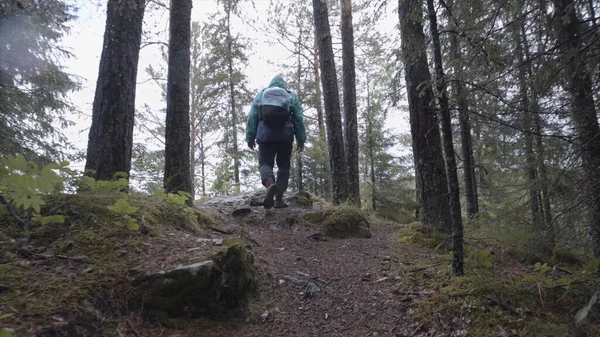 Rückansicht eines Touristen mit Rucksack, der einen steinigen Pfad in einem Bergwald erklimmt, Abenteuer- und Wanderkonzept. Archivmaterial. Mann klettert im Wald einen Berg hinauf. — Stockfoto
