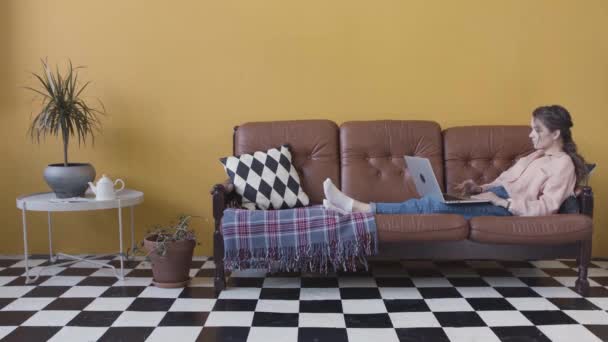 Una mujer joven está acostada en un sofá acogedor de cuero y escribiendo en su computadora portátil, hogar, tecnología y concepto de Internet. Imágenes de archivo. Mujer trabajando en su ordenador en la habitación moderna . — Vídeo de stock