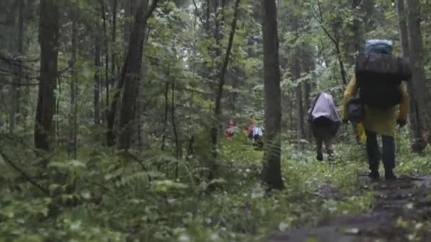 Rear view of the group of people with backpacks trekking together and climbing in forest. Stock footage. Adventure, travel, tourism, hike concept, friends walking through the forest. — 图库视频影像