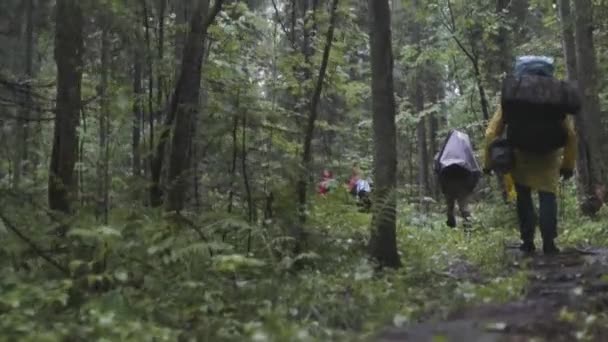 Blick von hinten auf die Gruppe von Menschen mit Rucksäcken, die zusammen wandern und im Wald klettern. Archivmaterial. Abenteuer, Reisen, Tourismus, Wanderkonzept, Freunde wandern durch den Wald. — Stockvideo