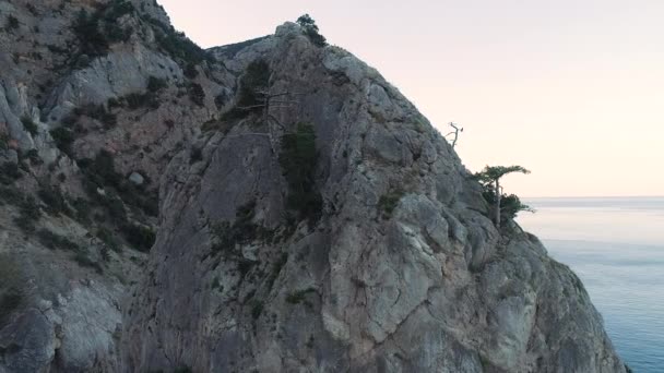 Vue aérienne d'un océan avec un ciel bleu clair et une belle falaise. Fusillade. Paysage marin avec rochers escarpés et arbres en croissance sur le bord de celui-ci . — Video