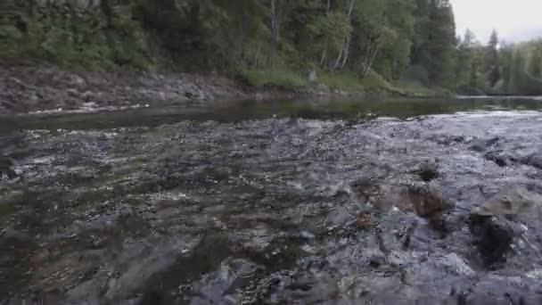 Close-up van de koude en frisse rivier met stenige bodem op groene bosachtergrond. Voorraadbeelden. Heldere rivier, snel stromende zomerwouden. — Stockvideo