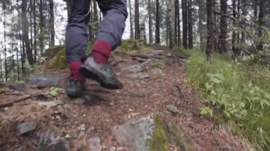 Sırt çantalı deneyimli turistlerin dağlara tırmanışları, doğal vahşi ortamı keşifleri. Stok görüntüleri. Ormandaki kayalık bir tepeye tırmanan erkek gezginin arka görüntüsü..