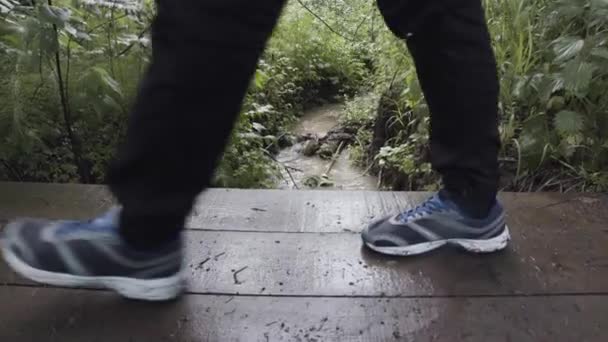 Close up de turistas pernas andando sobre a ponte de madeira acima do fluxo de floresta suja. Imagens de stock. Vista lateral de caminhantes que cruzam a pequena ponte de madeira acima do rio estreito . — Vídeo de Stock