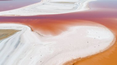 Koyazhskoe Gölü yaz mevsiminde Kırım Cumhuriyeti 'nde, gökyüzü manzaralı. Vuruldu. Pembe sıradışı gölün nefes kesici doğal manzarası ve beyaz tuz bankaları..