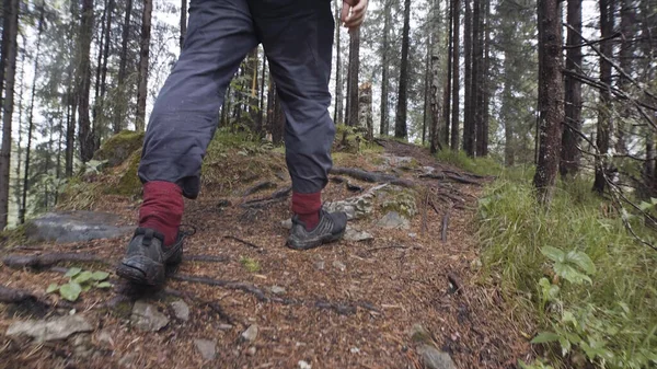 Hátsó kilátás tapasztalt turista utazási hátizsák mászik fel a hegyre, felfedező természetes vad környezetben. Készletfelvétel. Visszapillantás a férfi utazó mászik egy köves dombon az erdőben. — Stock Fotó