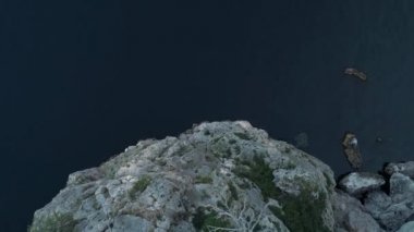 Kayaları çevreleyen sakin mavi denizin ve kenarındaki ölü ağacın havadan görünüşü. Vuruldu. Portekiz kıyı şeridindeki inanılmaz kayalık deniz manzarası.