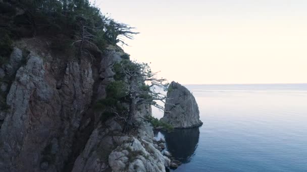 Aereo di una scogliera rocciosa vicino al mare blu e calmo in una giornata estiva. Gli hanno sparato. Alberi verdi di conifera che crescono su un orlo di montagna della costa di mare nera su sfondo di cielo terso azzurro . — Video Stock