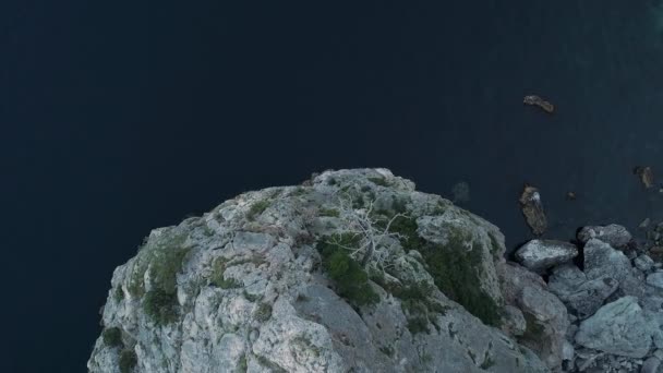 Vista aérea de la parte superior del tranquilo mar azul que rodea las rocas y el árbol muerto en su borde. Le dispararon. Increíble acantilado de roca en la costa portuguesa . — Vídeos de Stock