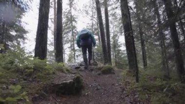 Sırt çantalı bir turistin dağ ormanlarında kayalık bir patikaya tırmanması, macera ve yürüyüş konsepti. Stok görüntüleri. Ormanda dağa tırmanan bir adam.