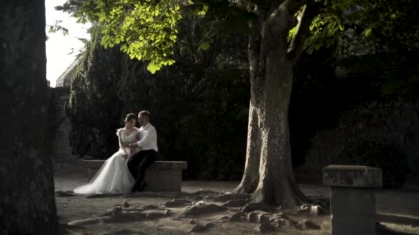 Όμορφοι νεόνυμφοι κάθονται σε ένα παλιό παγκάκι σε ένα καταπράσινο πάρκο. Πάμε. Ο κομψός γαμπρός αγκαλιάζει την όμορφη νύφη στον κήπο. Φωτογραφία γάμου. — Αρχείο Βίντεο