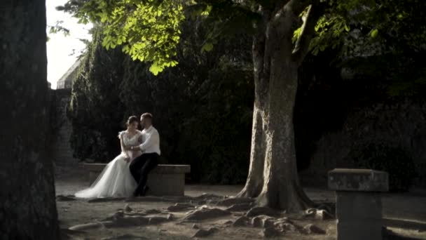 Beautiful newlyweds are sitting on an old bench in a green park. Action. The stylish groom embraces the lovely bride in the garden. Wedding photography. — ストック動画