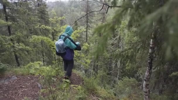 Mannelijke wandelaar met reisrugzak op de rand van de hoge berg tijdens de zomertocht. Voorraadbeelden. Mannelijke exponent staat op heuvel en kijkt naar boomtoppen. — Stockvideo