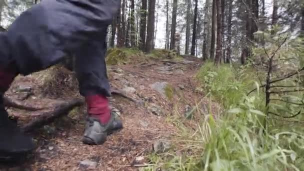 Rer uitzicht op mannelijke wandelaar op bosweg. Voorraadbeelden. Close-up van de man reiziger schoenen verkennen van de natuur en wandelen door het bos, trekking een rotsachtig pad tussen groene pijnbomen. — Stockvideo