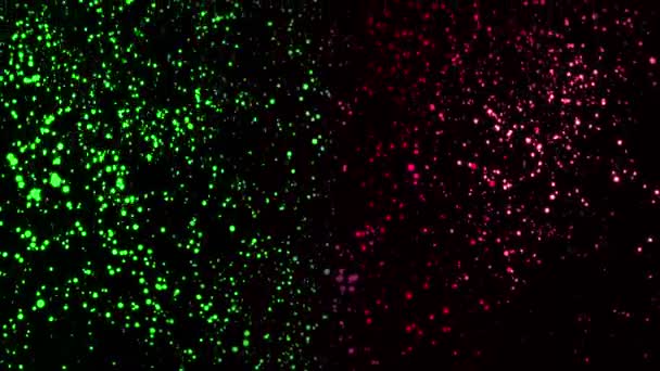 Belle abstraction de particules multicolores tournant et flottant dans l'obscurité. Animation. Animation colorée dynamique sur fond noir — Video