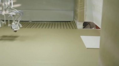 Otomatik sprey boya makinesi, tahta tabaka üzerine beyaz boya yaymak, ekipman konsepti. Başla. Dört sprey tabancalı boya spreyi..