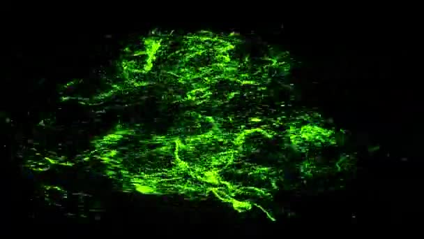 Icono abstracto de visa que se forma a partir de la nube de partículas pequeñas sobre fondo negro, concepto de dinero no monetario. Animación. Logotipo verde de la visa tarjeta de crédito bancaria . — Vídeos de Stock