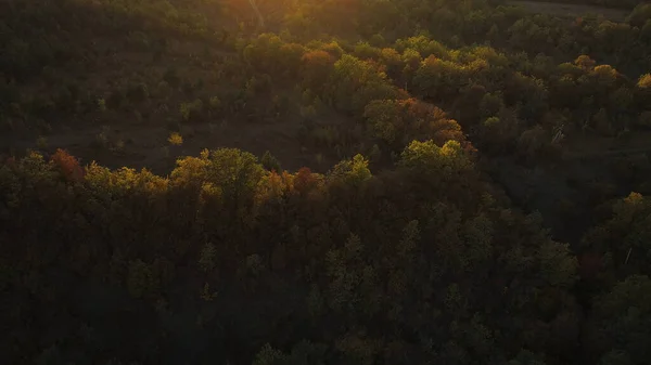 Panoramautsikt i vackra orange solnedgång dag av en stor kullar och berg i orörd region i Centralamerika. Skjuten. Flygfoto av gröna kullar täckta med skog. — Stockfoto