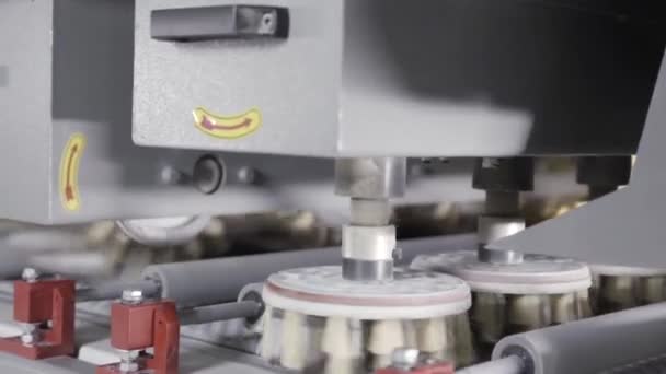Närbild av elektrisk slipmaskin som arbetar i fabrik med borstar roterande och polerande timmer. Börja. Möbelfabrik och professionell utrustning. — Stockvideo
