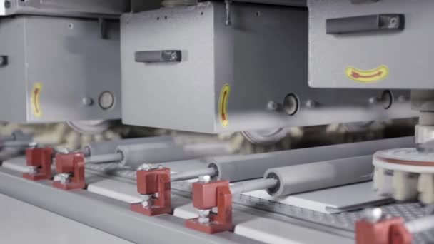 Närbild av elektrisk slipmaskin som arbetar i fabrik med borstar roterande och polerande timmer. Börja. Möbelfabrik och professionell utrustning. — Stockvideo