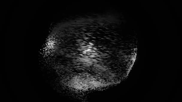 Abstrakter weißer Hurrikan aus kleinen Partikeln, die auf schwarzem Hintergrund fliegen, monochrom. Animation. grau wirbelnde Bewegung kleiner leuchtender Punkte. — Stockvideo