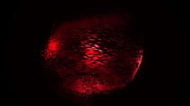 Soyut arka plan kasırga hareketi. Animasyon. Siyah arka planda dönen çok renkli küçük parçacıkların büyüleyici kasırgasının güzel soyutlaması.