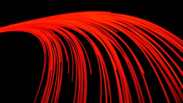 Abstract animation of bright neon stream of multicolored neon rays flying on the black background. Animation. Abstract of rapidly moving neon stripes. — Stock Video