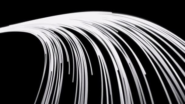 Animación abstracta de la corriente de neón brillante de los rayos de neón blanco volando sobre el fondo negro. Animación. Resumen de rayas de neón en movimiento rápido . — Vídeos de Stock