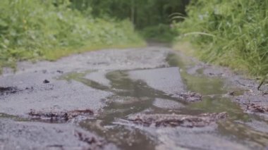 Yeşil çimenlerin arka planında, yağmurda çamurlu yolların yakın çekimi. Stok görüntüleri. Su birikintileriyle dolu çamurlu orman yoluna damlayan yağmurun makro çekimi