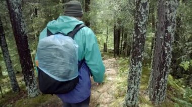 Orman yolunda yürüyen bir gezginin arka görüntüsü. Stok görüntüleri. Sırt çantalı ve yağmurluklu gezgin sık ormanın engebeli yollarında aşağı iniyor.