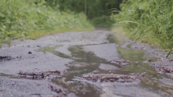 Nahaufnahme eines schlammigen Weges im Regen vor grünem Gras. Archivmaterial. Makroaufnahmen von tropfendem Regen auf matschigem Waldweg mit Pfützen — Stockvideo