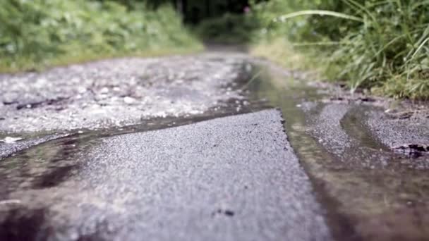 Close-up of muddy path in rain on background of green grass. Stock footage. Macro shooting of dripping rain on muddy forest path with puddles — Stock Video