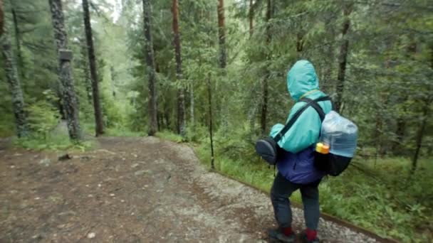 Vista posteriore del viaggiatore che cammina lungo il sentiero forestale. Filmati delle scorte. Viaggiatore con zaino e impermeabile va su sentiero accidentato di fitta foresta scendendo — Video Stock