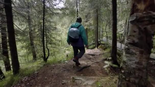 Vista trasera del viajero caminando por el sendero del bosque. Imágenes de archivo. Viajero con mochila y en impermeable va por el camino lleno de baches de bosque denso que baja — Vídeos de Stock