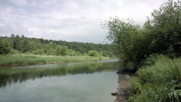 Landschaft mit Fluss fließt am Rande des grünen Waldes vor dem Hintergrund des bewölkten Himmels. Archivmaterial. schöner Fluss vor dem Hintergrund des grünen Nadelwaldes und bewölkten Himmels — Stockvideo