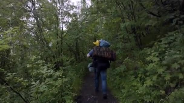 Rear view of travelers with backpacks walking on forest trail. Stock footage. Travelers follow each other along narrow path in dense forest in cloudy weather — Stock Video