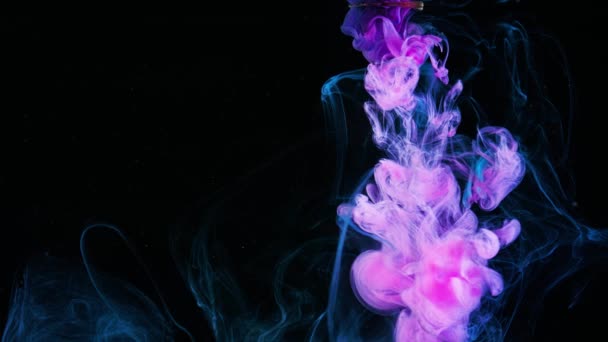 Skonsamt flöde av färg i vatten. Lagerbilder. Närbild av vackra rosa bläck flyter rökigt i vatten på svart bakgrund. Långsam rörelse färg i vatten — Stockvideo