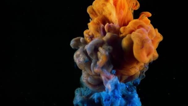 Primo piano di flusso di vernici colorate in acqua. Filmati delle scorte. Macro di bella spruzzata di inchiostro colorato in acqua su sfondo nero — Video Stock