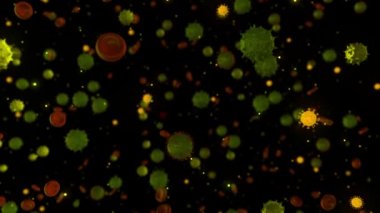 Mikroskop altında ölümcül bir koronavirüs bakterisi. Animasyon. Patojen salgını, bakteri ve virüs salgını, koronavirüs mikroorganizmalarına neden olan hastalık, siyah arka planda akan küçük bakteriler,