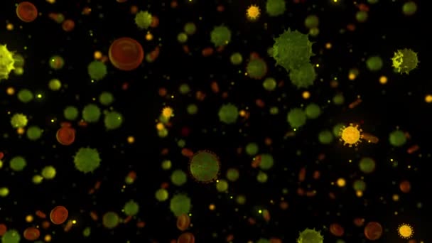 Egy halálos koronavírus baktérium mikroszkóp alatt. Animáció. A baktérium és a vírus kórokozó-kitörése, a koronavírus mikroorganizmusait okozó betegség, fekete alapon áramló apró baktériumok — Stock videók