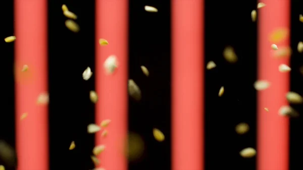 Primer plano de la caída de avena y copos de centeno. Imágenes de archivo. Muchas semillas y frijoles cayendo aislados sobre fondo negro con líneas verticales anchas rojas . — Foto de Stock