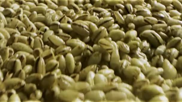 Primer plano de los granos de café sin tostar fondo. Imágenes de archivo. Una pila de muchas semillas de café etíopes verdes sin tostar para la preparación de bebidas . — Vídeo de stock