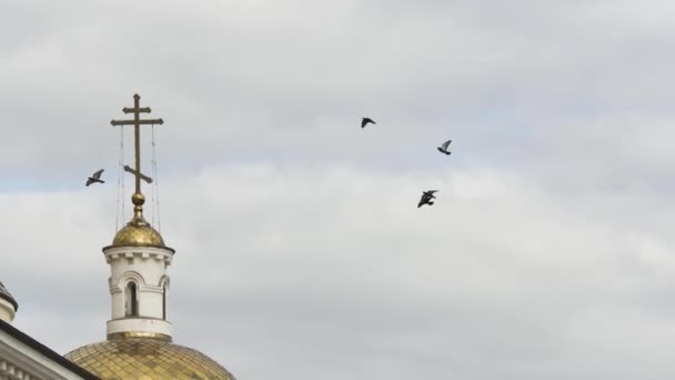 Fåglar flyger nära vackra kyrkan, religion koncept. Lagerbilder. Ortodoxa gyllene kors och kupoler på kyrkan mot bakgrund av moln. — Stockvideo